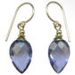 Wisteria Earrings
