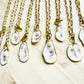 Charleston Oyster Shell Necklaces
