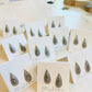 Venice Earrings